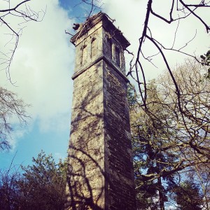 Tower in Denzell Gardens Altrincham
