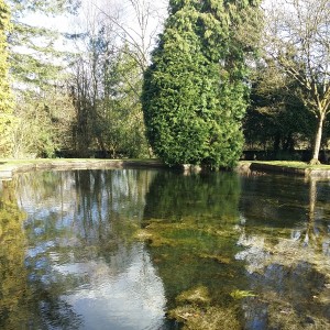 Pond in Denzell Gardens Altrincham